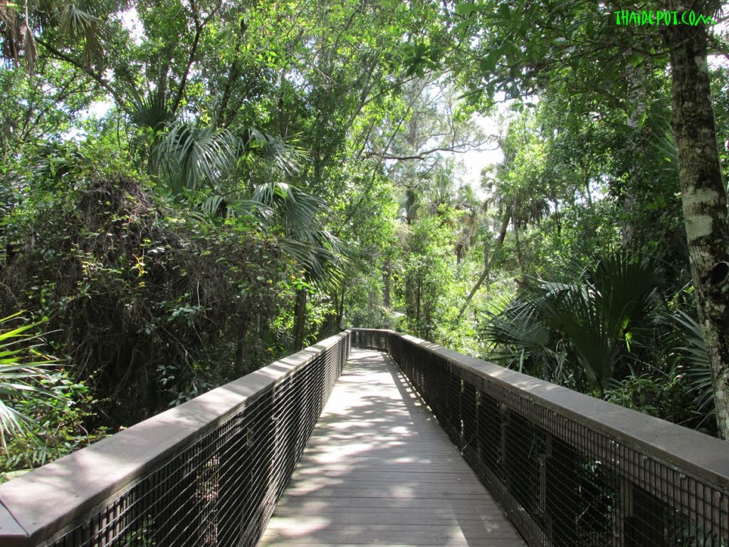 Perfect Afternoon @ Fern Forest Coconut Creek, FL USA, Маргейт