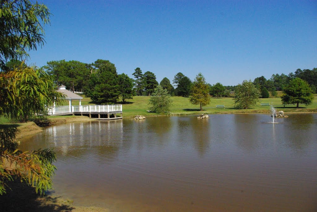 Gazebo and pond @ Citizens Lodge Park, Марианна
