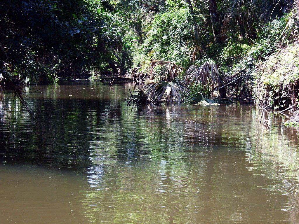 Crane Creek, Мельбурн