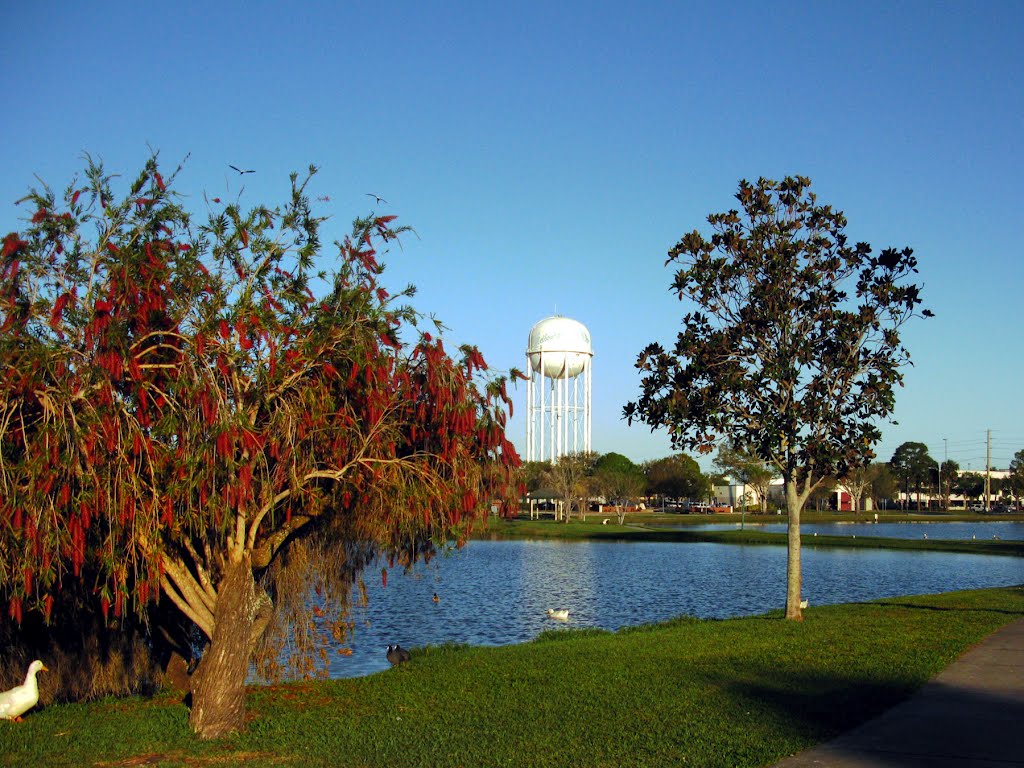 Wells Park, lake and water tower, Мельбурн