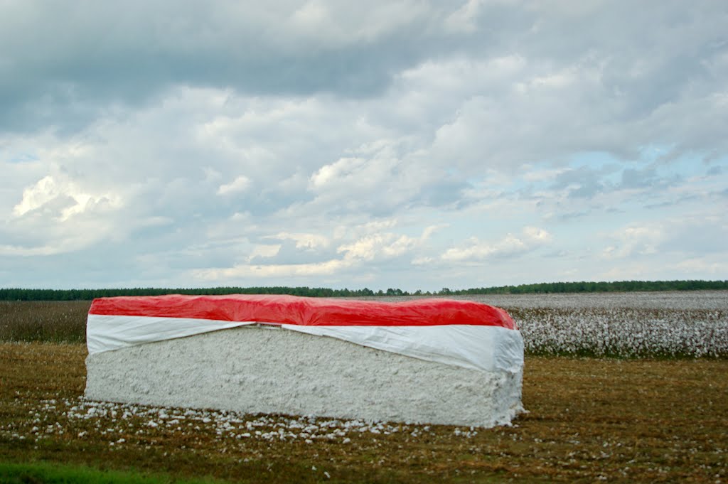2010, cotton bale, Молино
