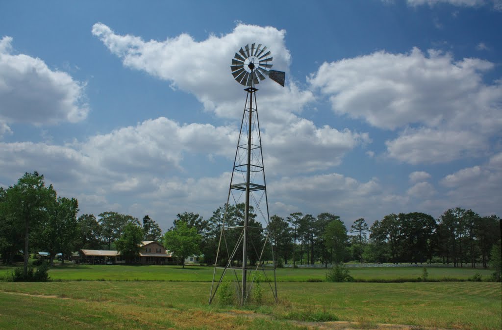 Windmill, Нома