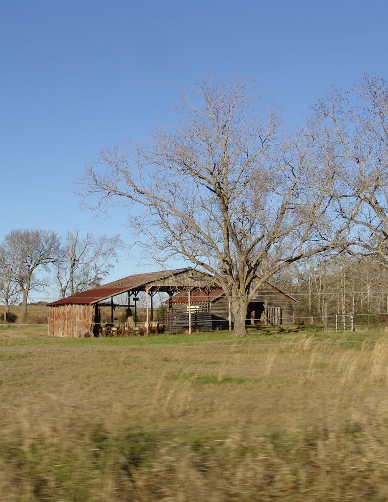 weathered barns, Underwood Crossing Fla (1-2-2012), Нома