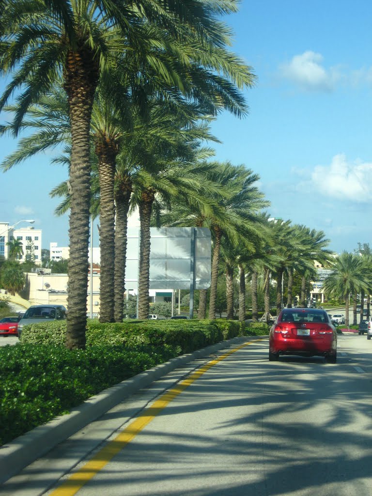 PALMS AT AVENTURA., Норт-Майами-Бич