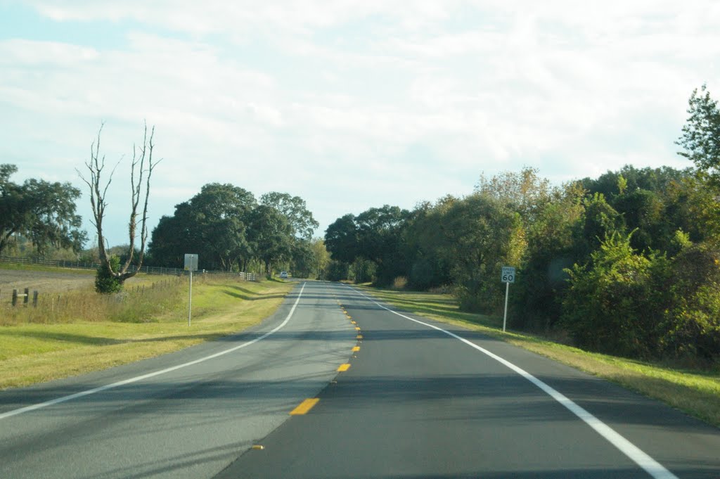 2010 Newberry, FL, USA - along SR 27, Ньюберри