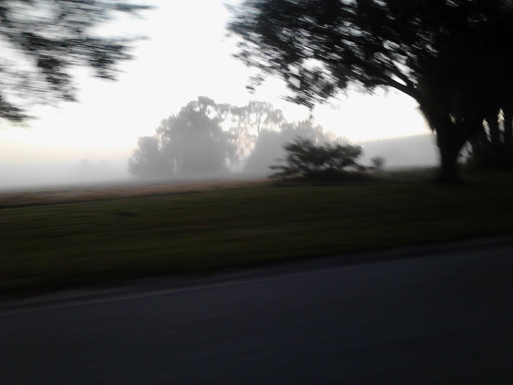 Foggy morning, Онеко