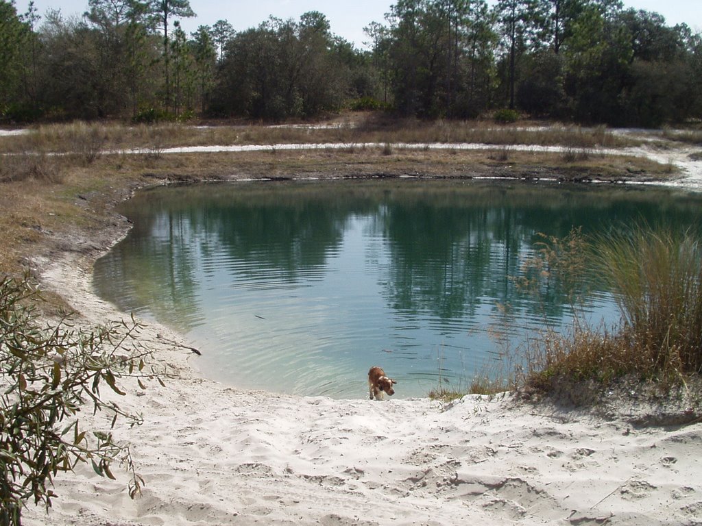 Lost 40 Sink, Оринт-Парк