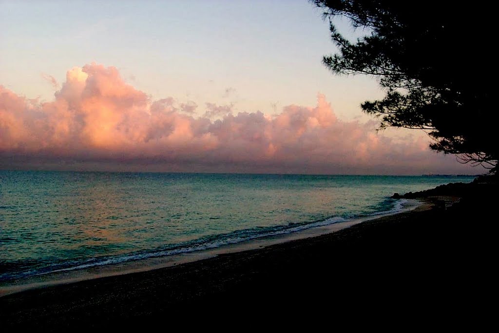 Dawn over the Gulf, North Casey Key, Оспри
