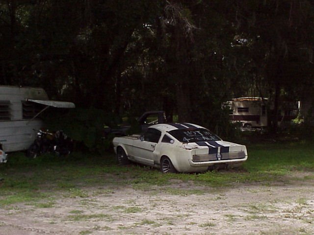 1966 Shelby GT350 in trailer park, NOT FOR SALE but it was, Brooksville Fla (2003), Пайн-Хиллс