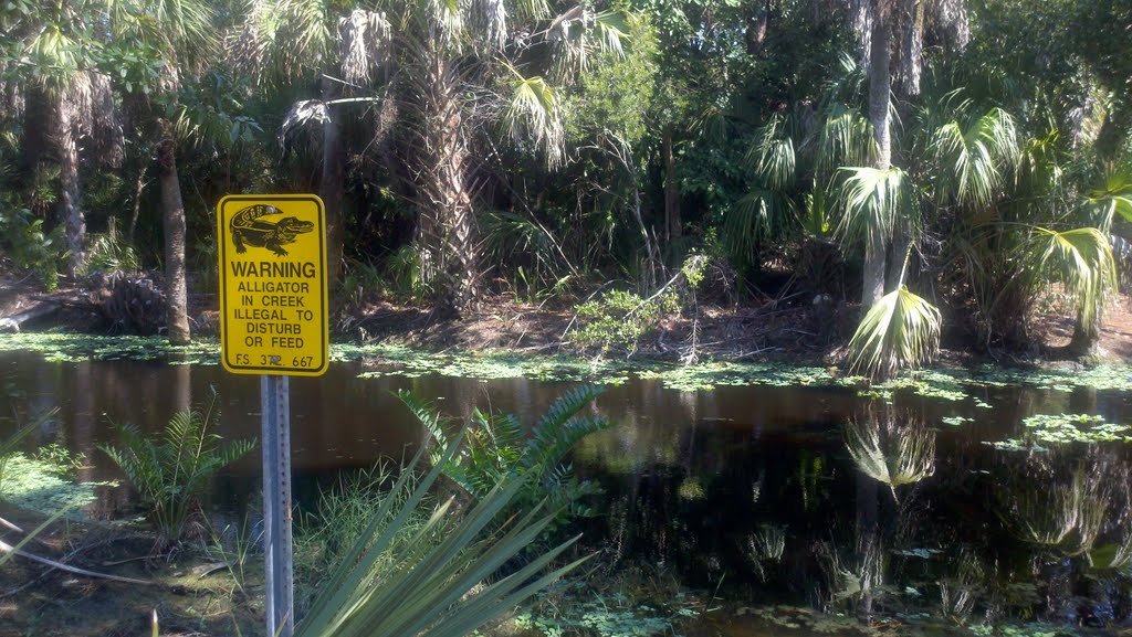Veterans Park Nature Preserve, Naples, FL, Палм-Ривер