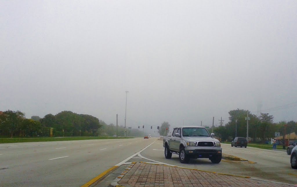 Foggy morning at Pines Blvd Eastbound, Пемброк-Пайнс