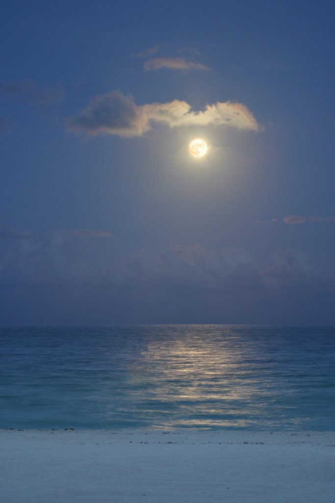 Moon at the beach, Санни-Айлс