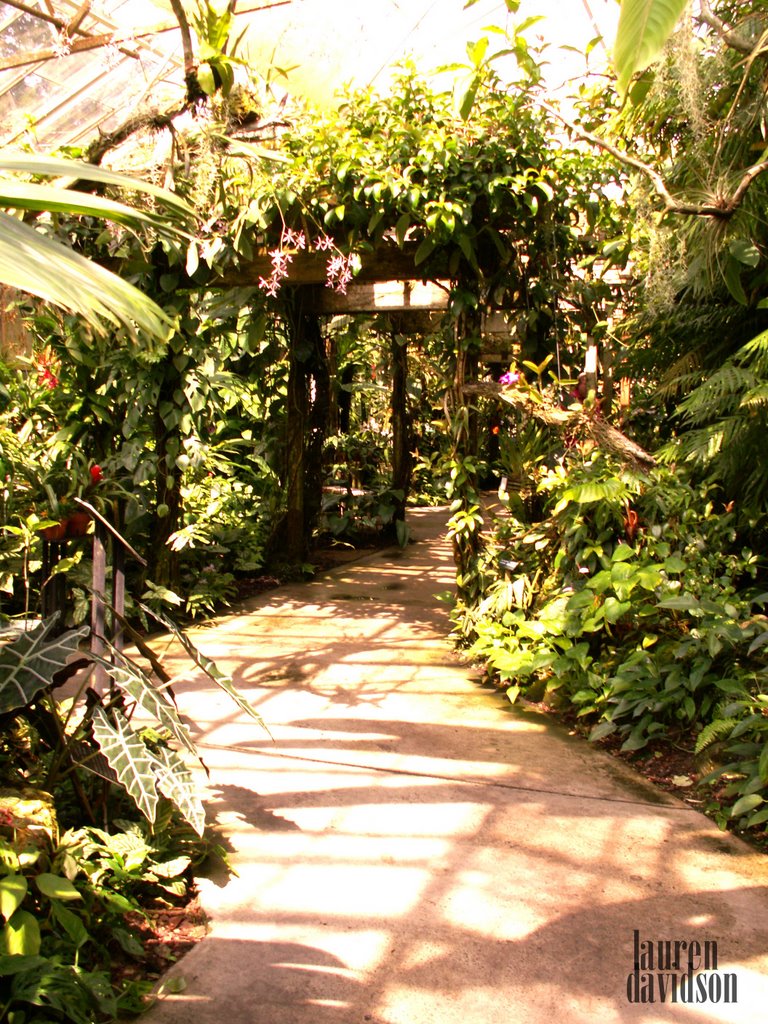 Marie Selby Botanical Gardens Tropical Garden, Сарасота