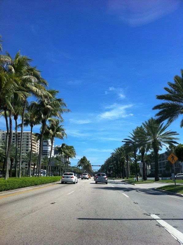 Miami, Сарфсайд