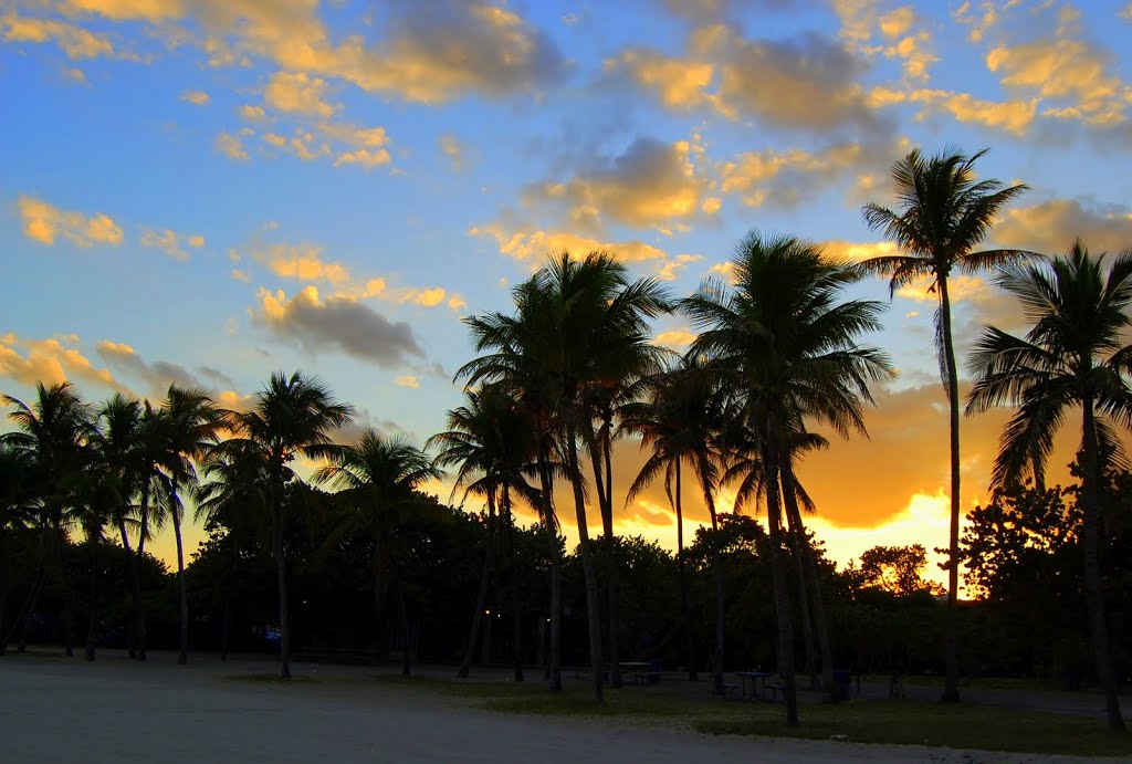 Palms at sunset, Сарфсайд