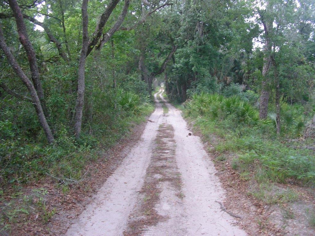 Wekiva State Park Trail, Саут-Апопка