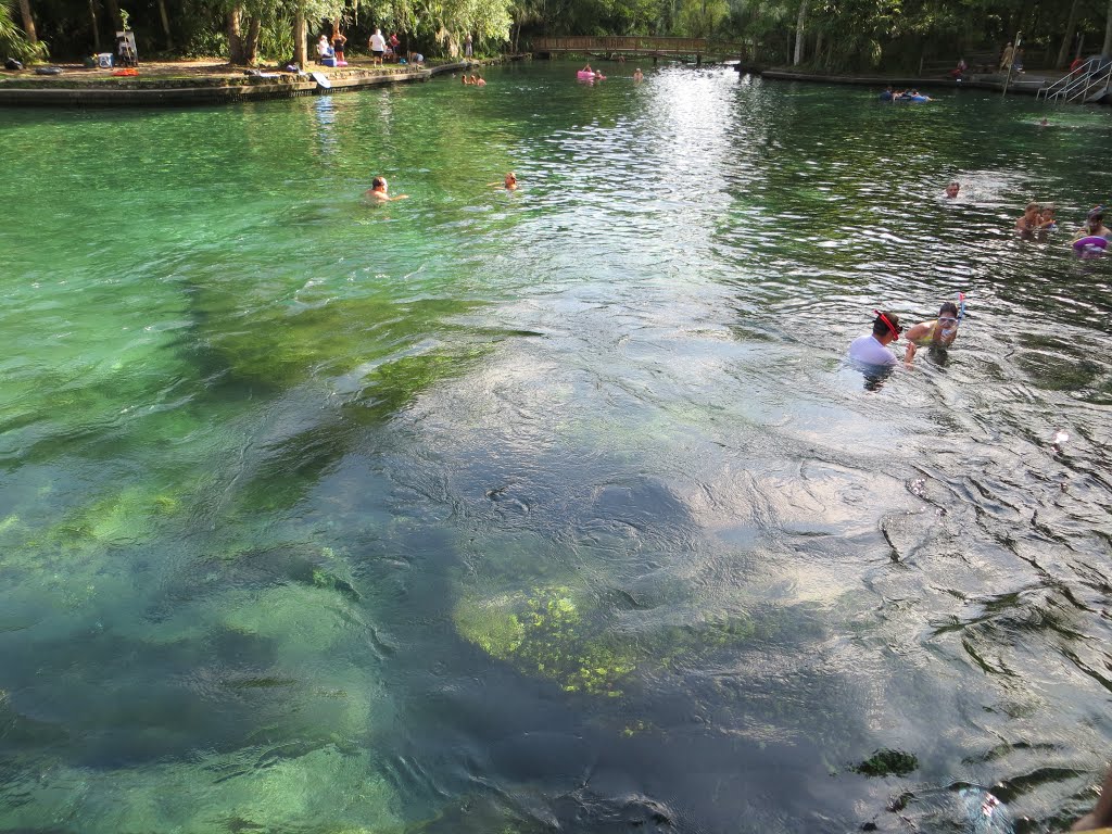 Wekiwa Springs State Park (07/2012), Саут-Апопка
