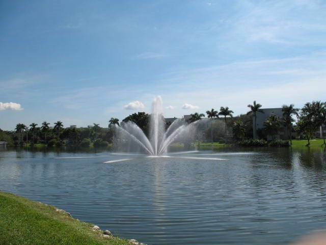 The lake, Саут-Майами