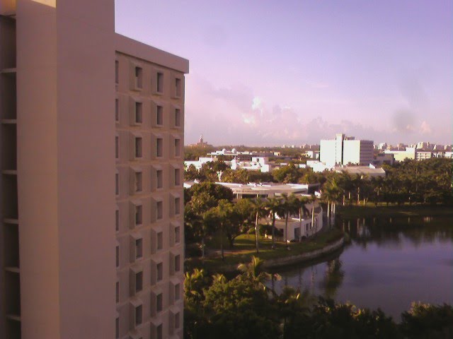University of Miami campus and dorms, Саут-Майами