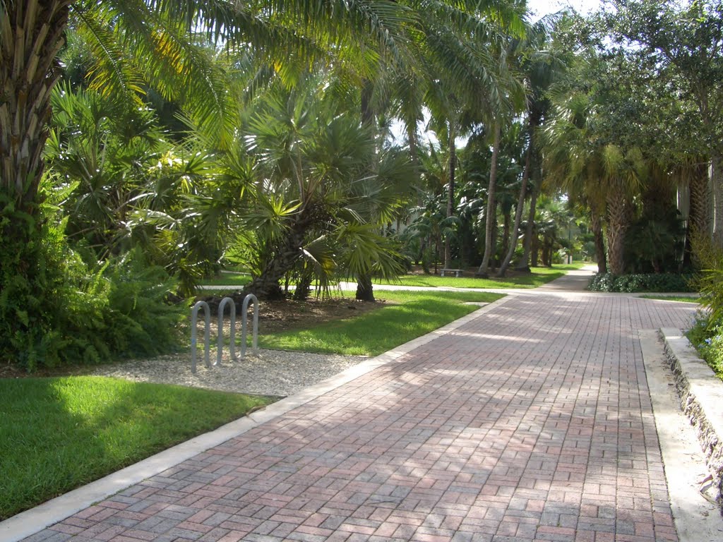 WELL MAINTAINED GARDENS.UNIVERSITY OF MIAMI IN CORAL GABLES CITY, Саут-Майами