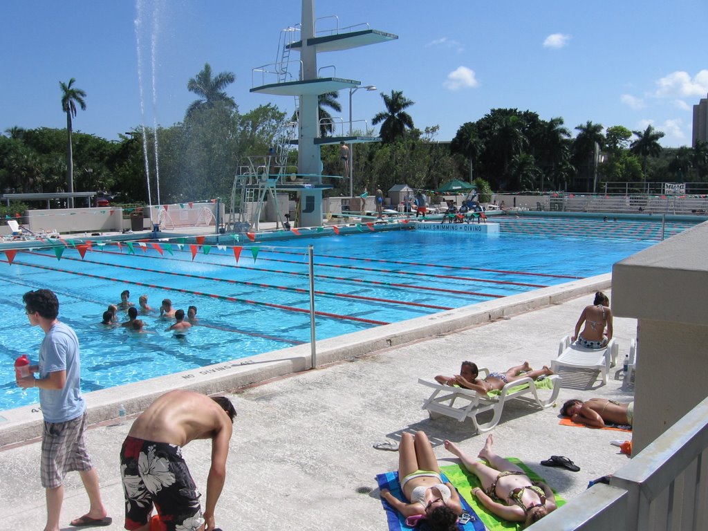 Univerity Of Miami Pool, Саут-Майами