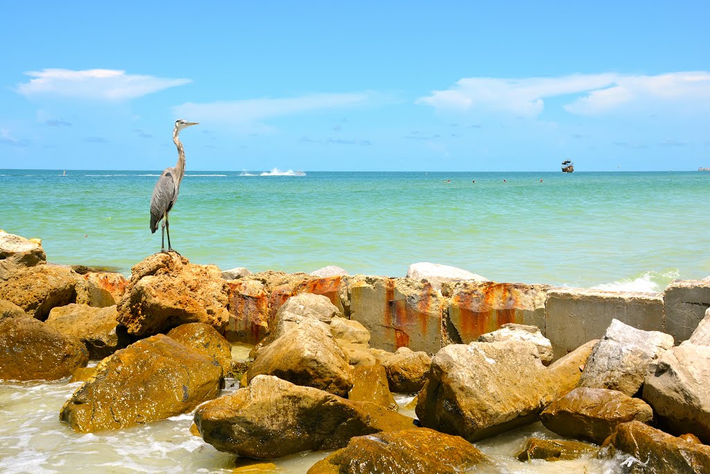 TREASURE ISLAND, FL, Саут-Пасадена