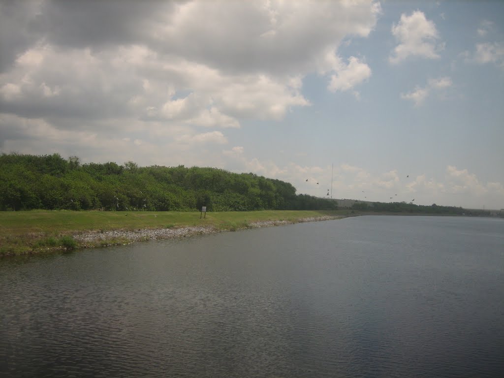 lake near Tampa, Сеффнер