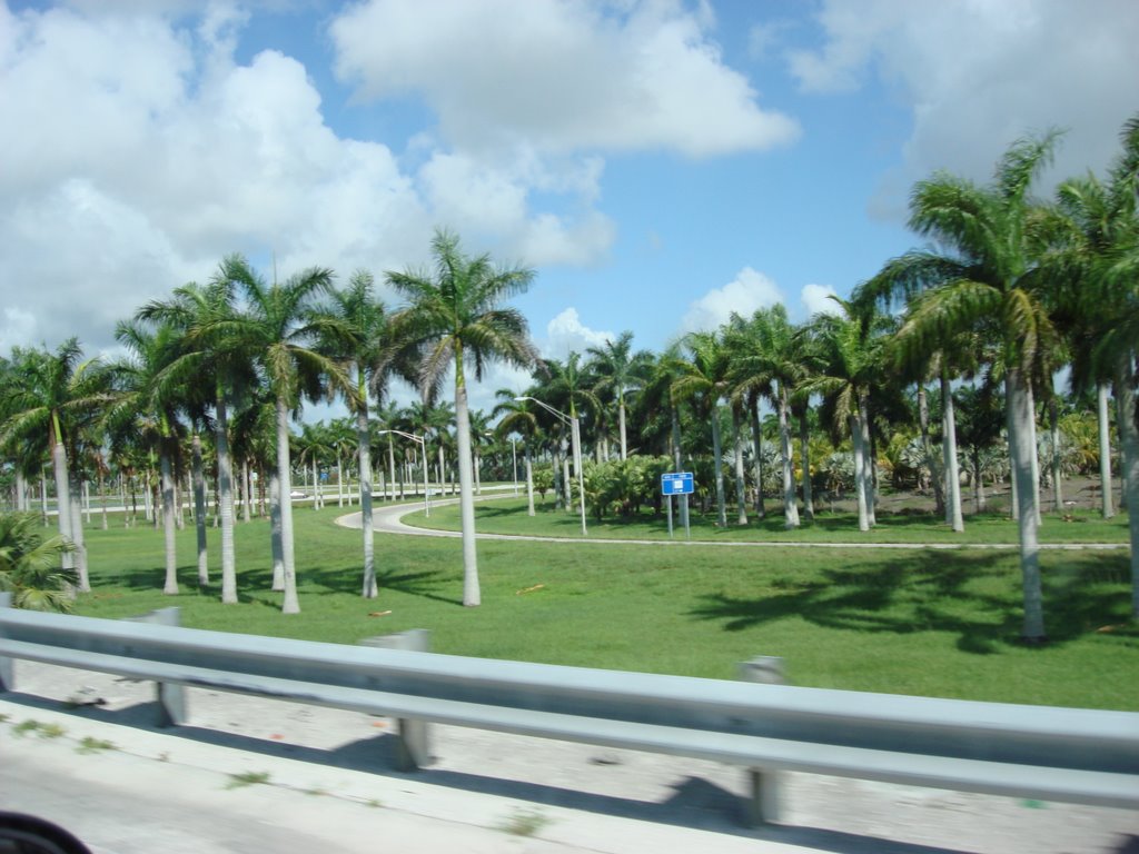 FLORIDA TURNPIKE, Тамайами