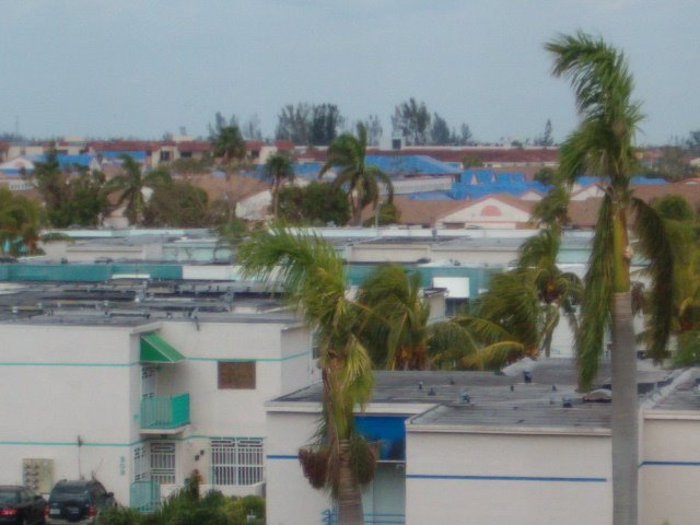 Miamis Blue Roof (Nov, 2005), Тамайами