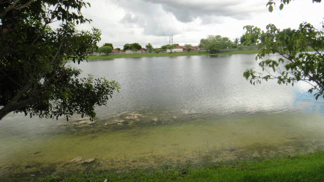 Miami Pequeño Lago En Zona Recidencial, Тамайами