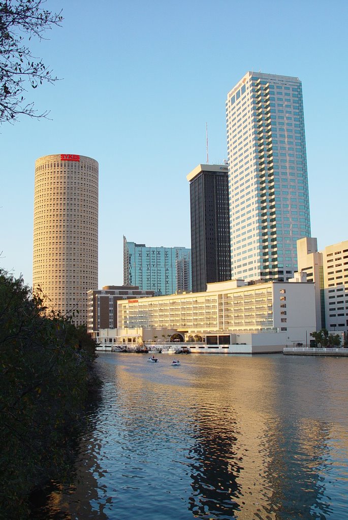 Tampa skyline from the Hillsborough River (2-2009), Тампа