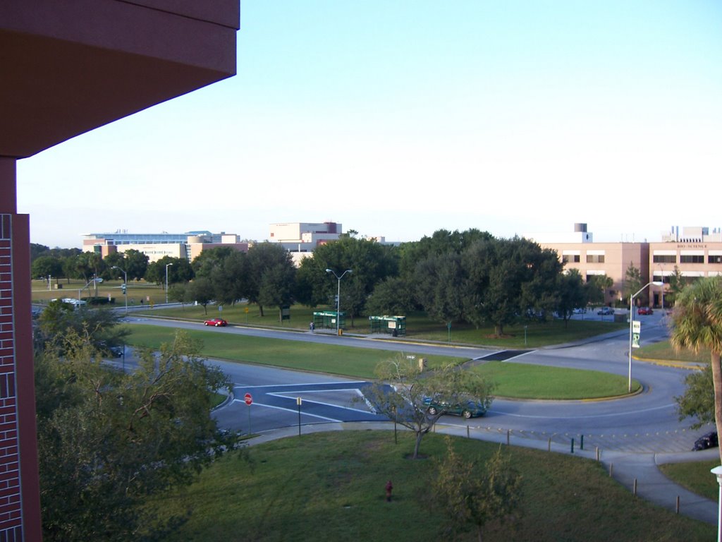 View from parking garage, Темпл-Террас