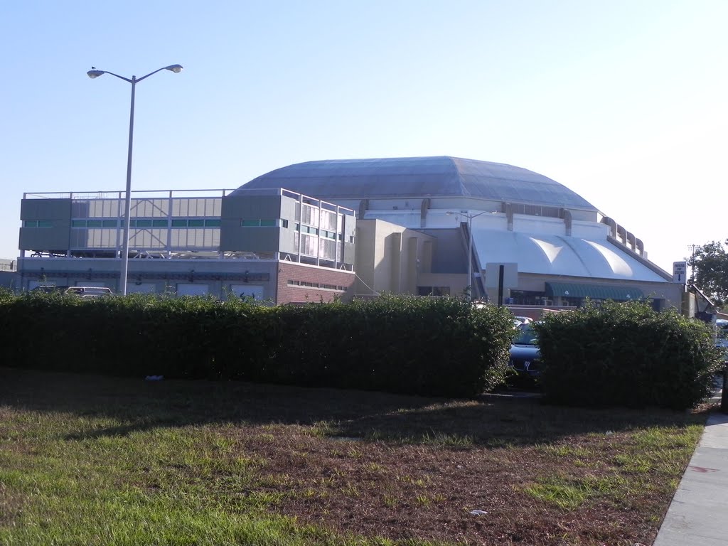 USF Sund Dome, Темпл-Террас