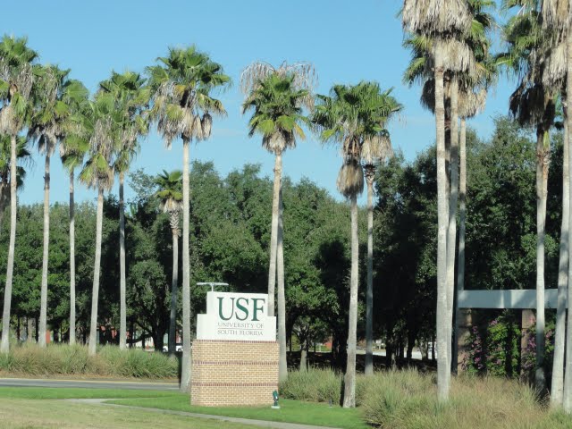 The University of South Florida - outubro de 2010., Темпл-Террас