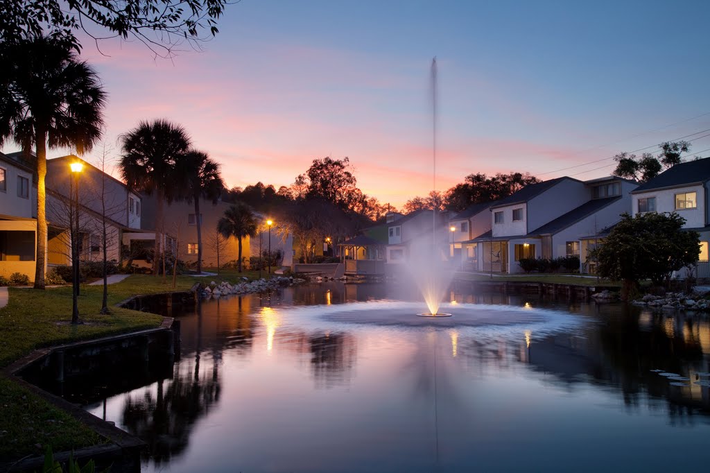 Dawn Lake, Urban Place Apartments, Tampa Florida, Темпл-Террас