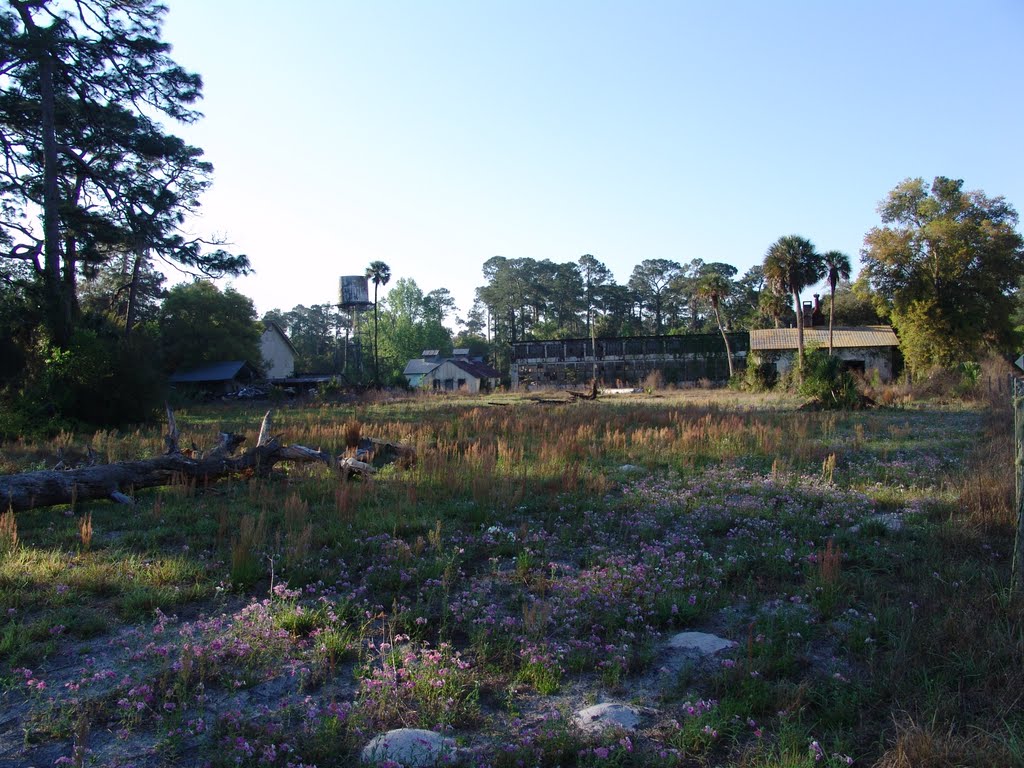 historic Bob White citrus packing house, soon to be demolished! DeLeon Springs (3-19-2011), Тик