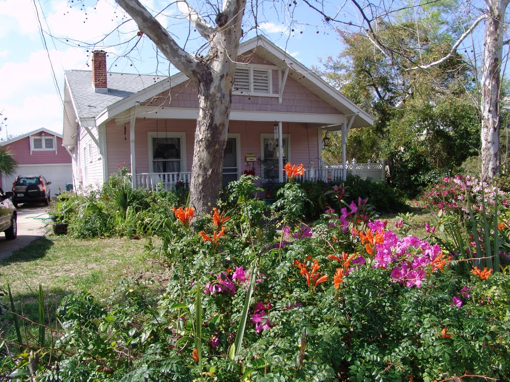 bungalow in bloom, Titusville (2-24-2011), Титусвилл