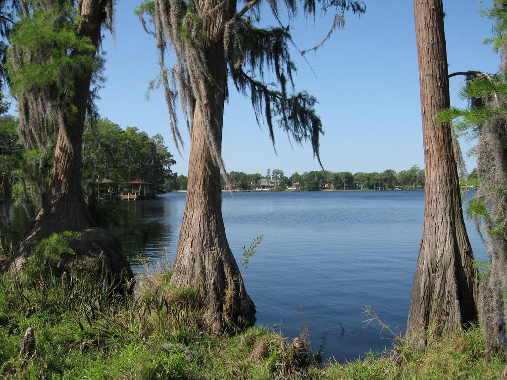 Pretty Lake  Hutchison Rd  Lutz Tampa, Хамптон