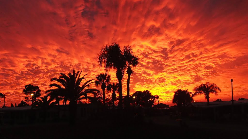 Florida Sunset, Шарлотт-Харбор