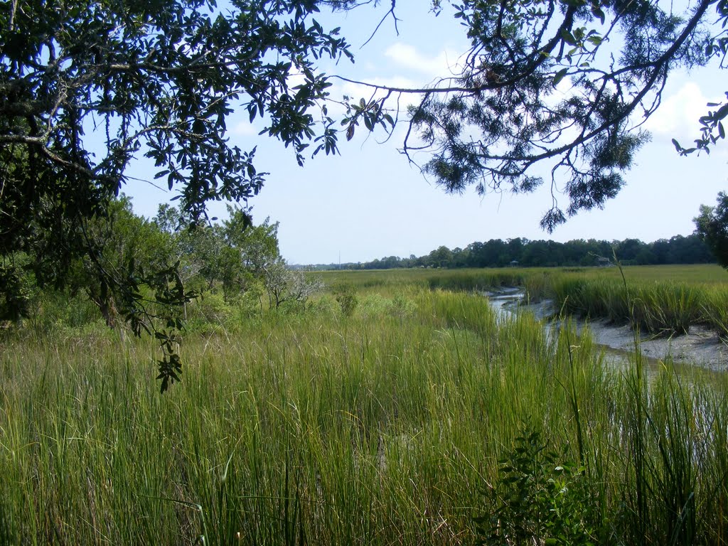 Tidal Creek in Charleston, SC, Авондейл