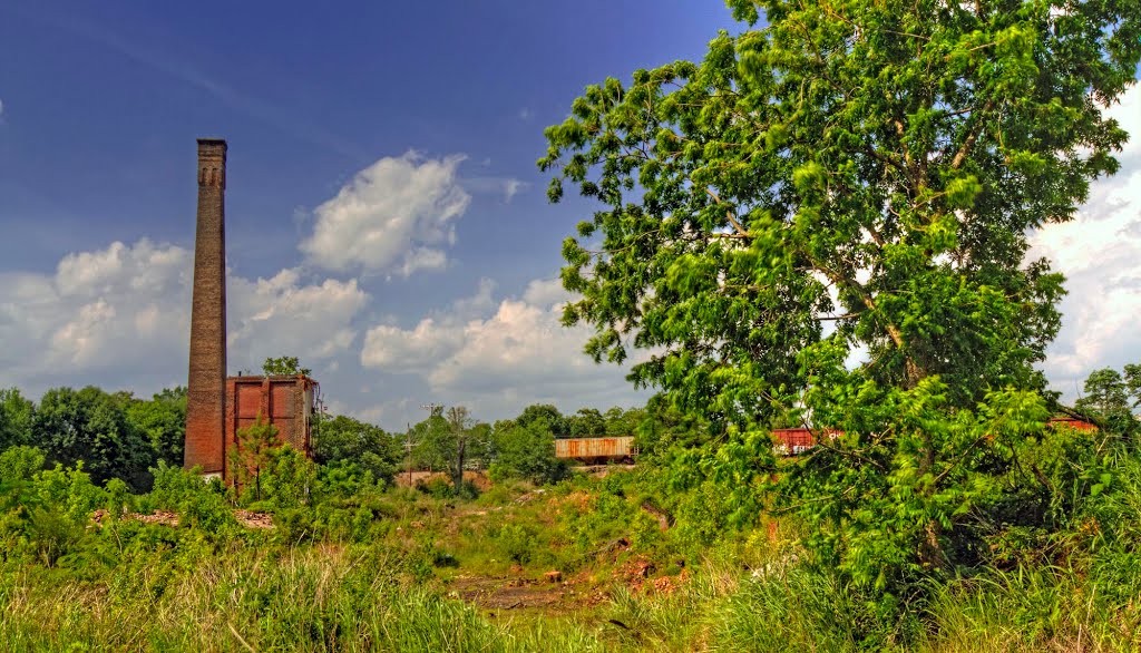 Old Abney Mill, Андерсон