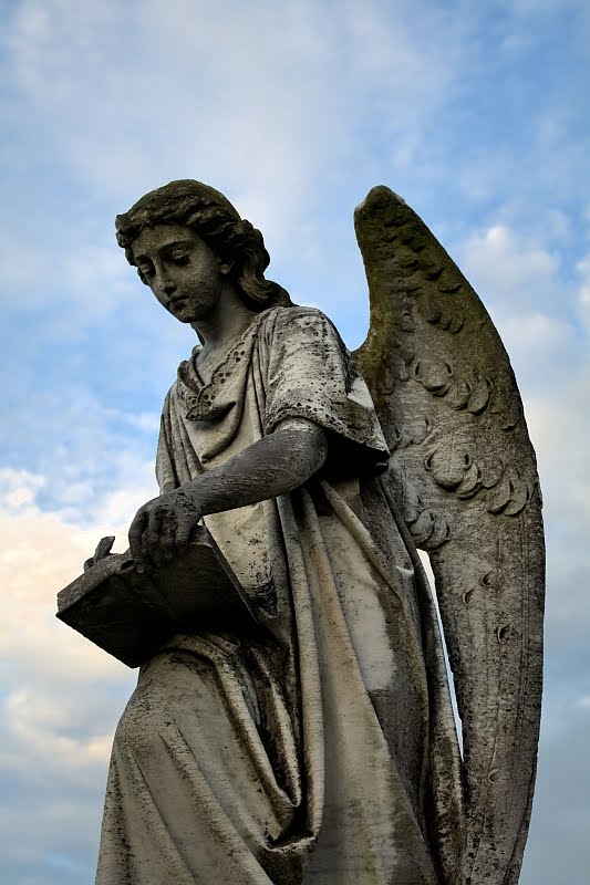 Fallen Angel, Колумбиа