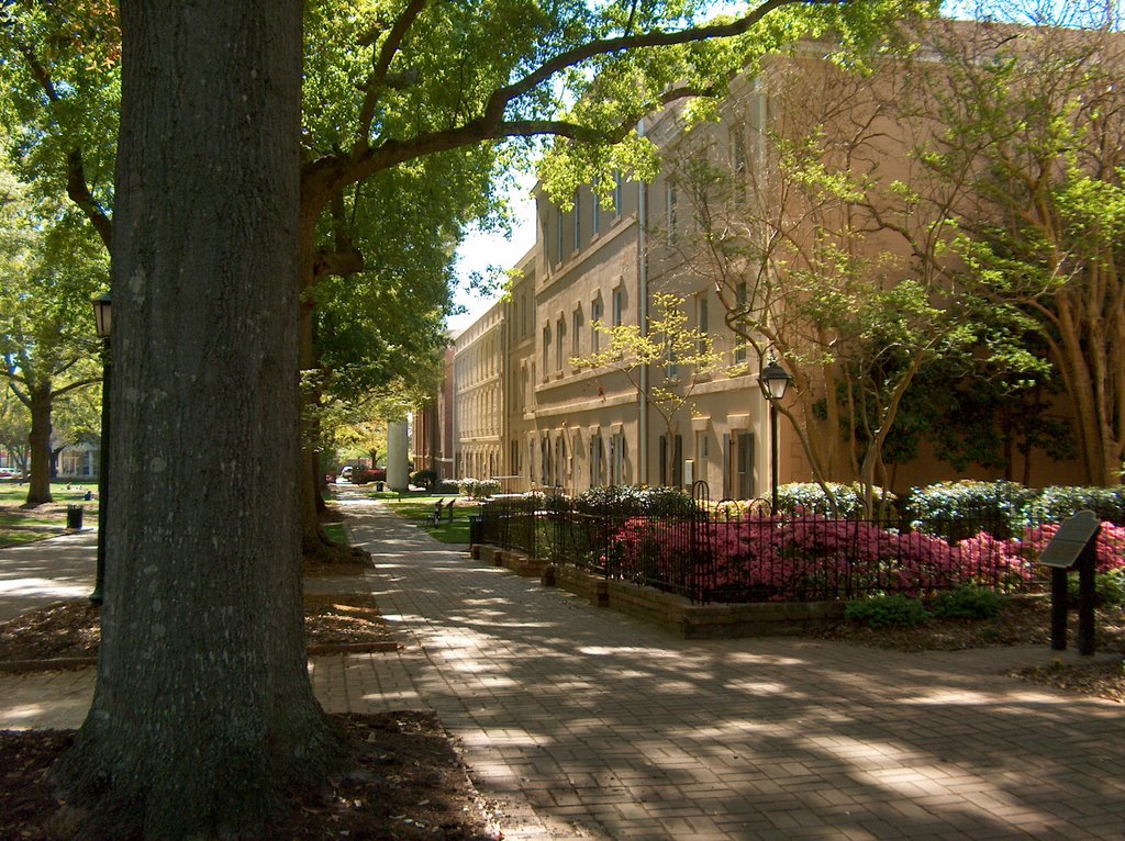 The University of South Carolinas Horseshoe, Колумбиа