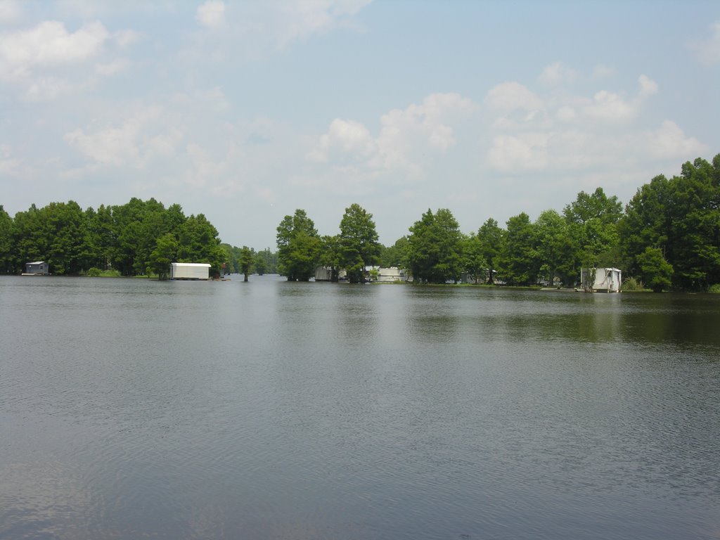 View from Low Falls Landing across the backwaters of Lake Marion below the convergence of the Congaree and the Wateree at what becomes the Santee River.  Note the boat shanties constructed atop the lake surface, Пайнридж