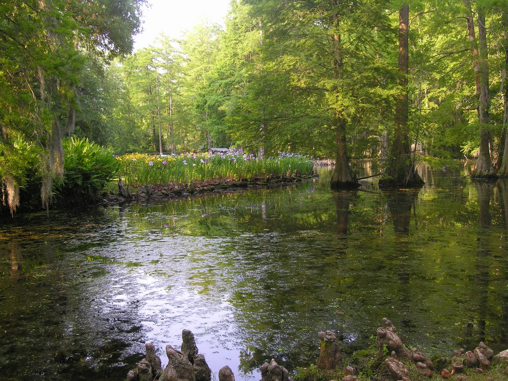 Swan Lake Iris Garden, Пайнридж