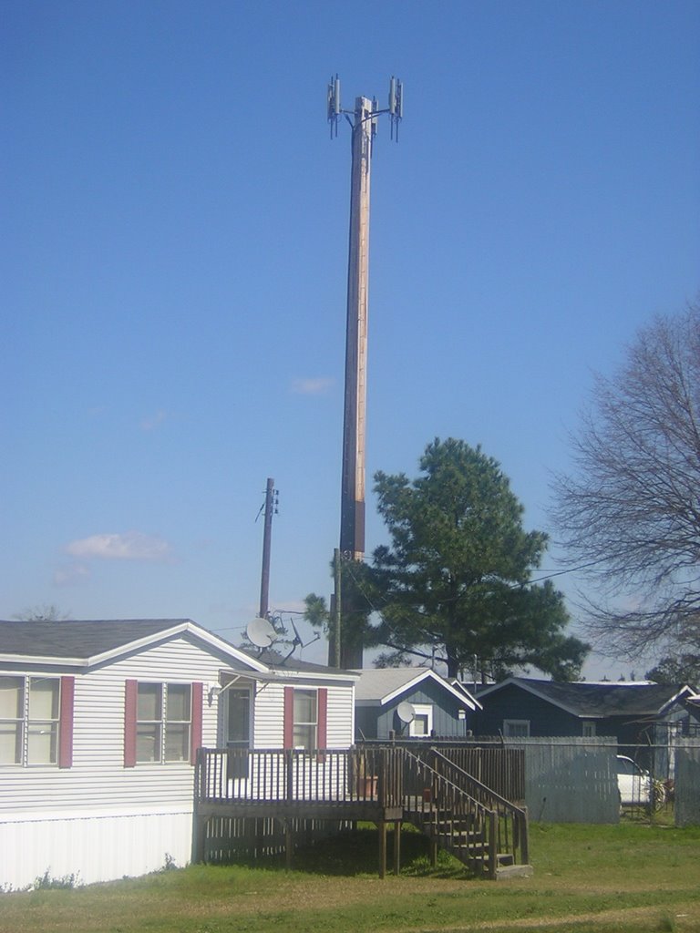 Wooden Pole Cell Site in Florence, SC, Пайнридж