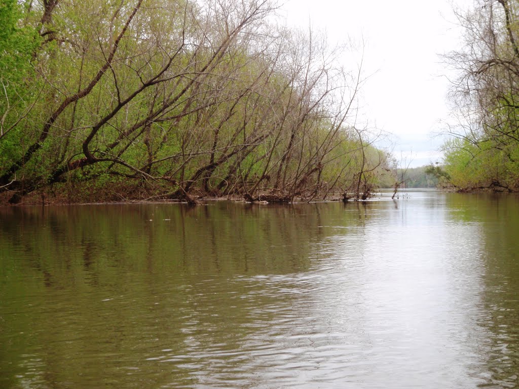 Island side channel -The old channel of Sandy Run Creek, Чарльстон