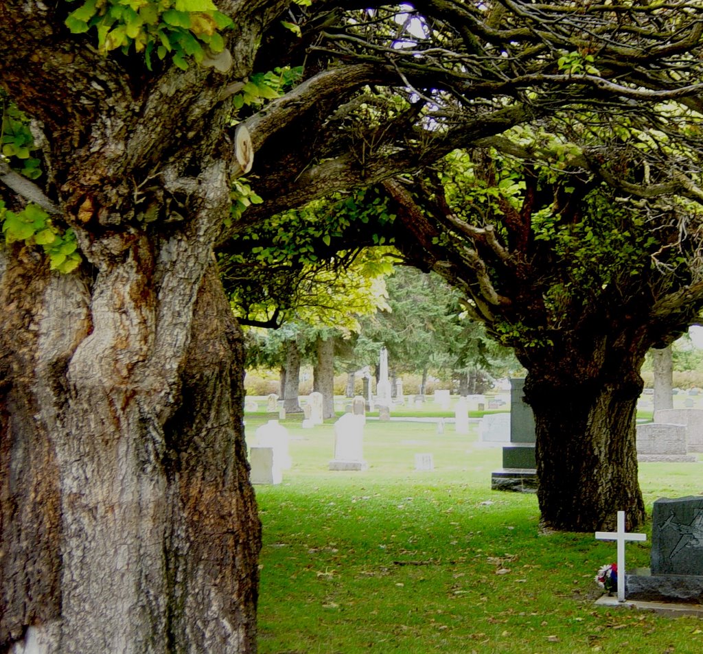 Brigham City cemetery, Бригам-Сити