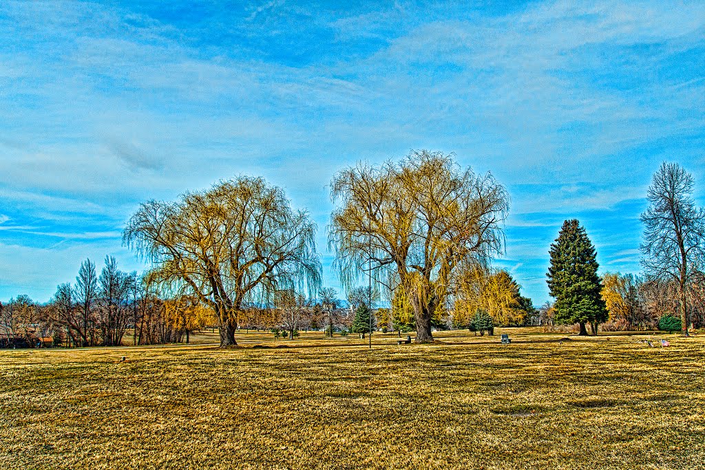 Altorest Memorial Park #2, Вашингтон-Террас