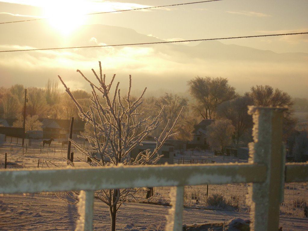 Cold winter morning, Ганнисон